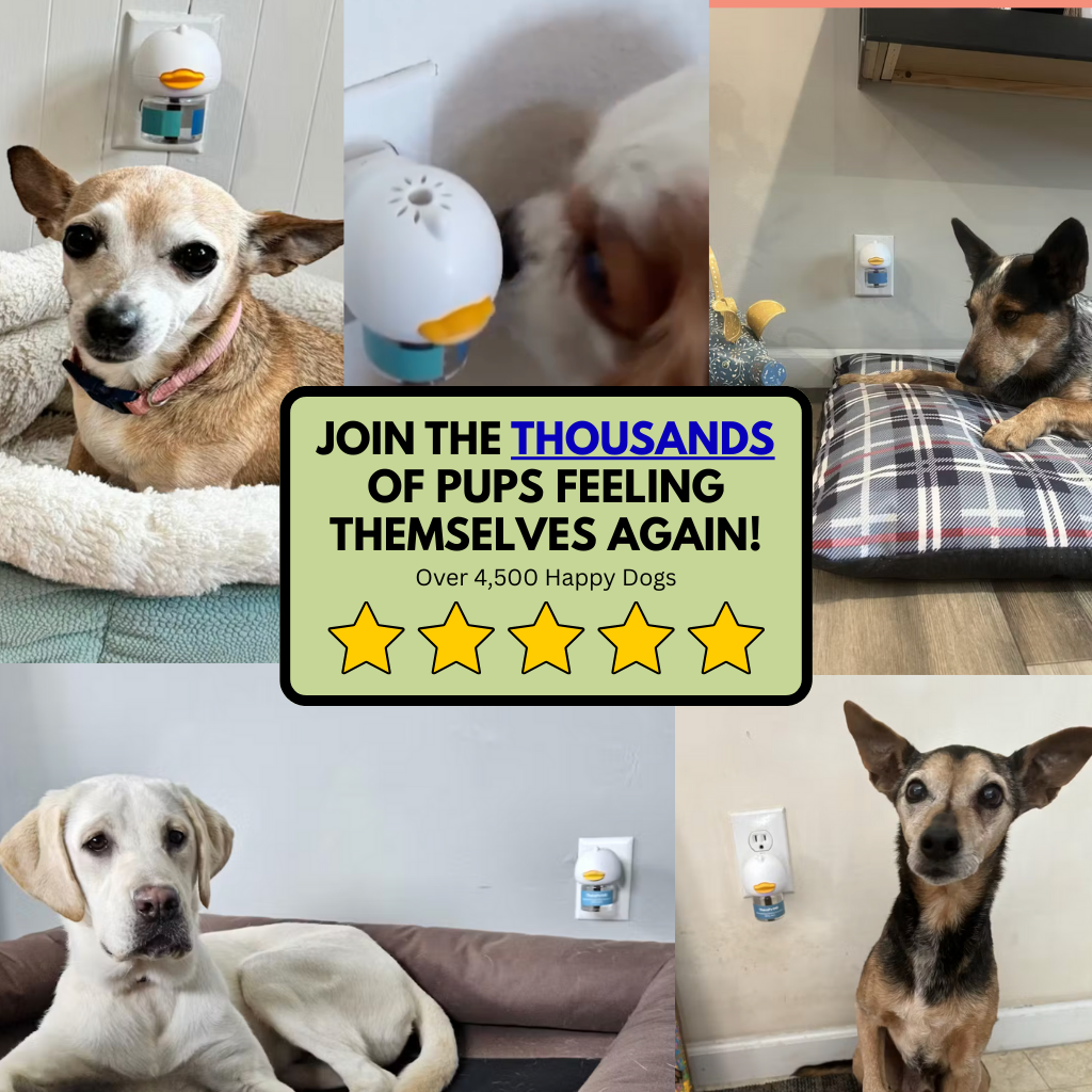 Dog Calming Diffuser